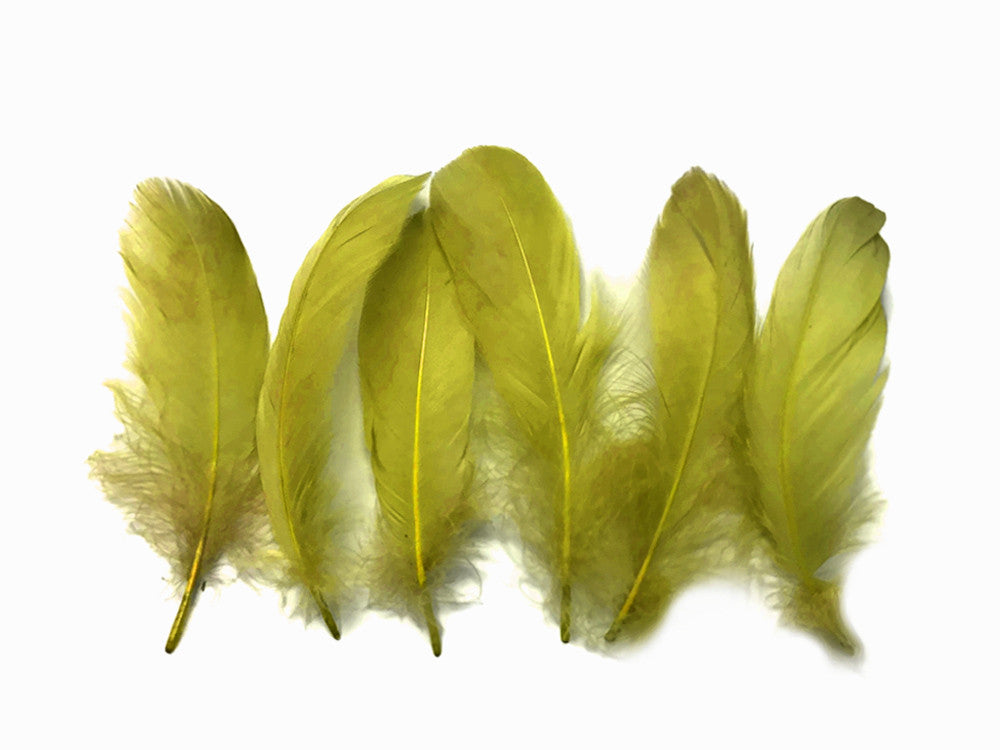 1/4 Lb - Olive Green Goose Nagoire Wholesale Feathers (Bulk)