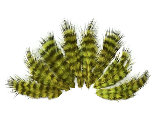 1 Dozen - Olive Green Grizzly Mini Rooster Chickabou Fluff Whiting Hair Feathers