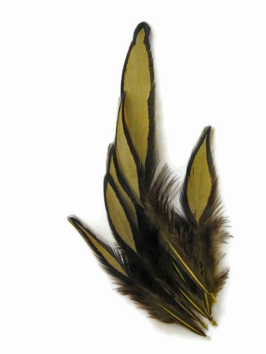 1 Dozen - Olive Green Whiting Farms BLW Laced Hen Cape Loose Feathers