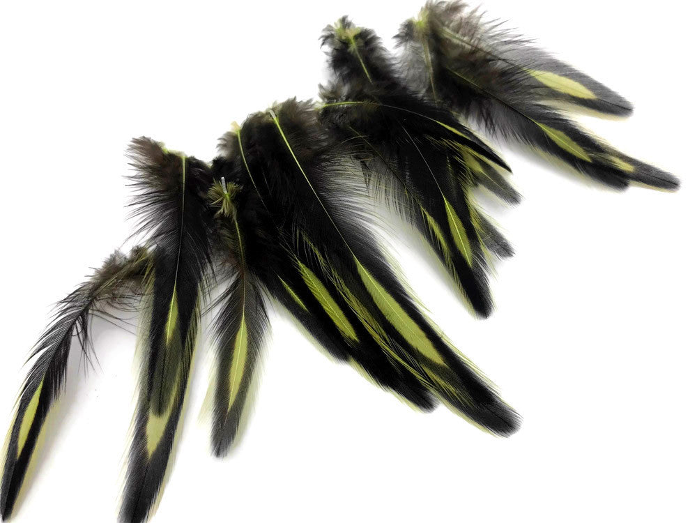 1 Dozen - Olive Green Whiting Farms BLW Laced Hen Cape Loose Feathers