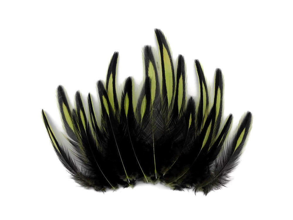 1 Dozen - Olive Green Whiting Farms BLW Laced Hen Cape Loose Feathers