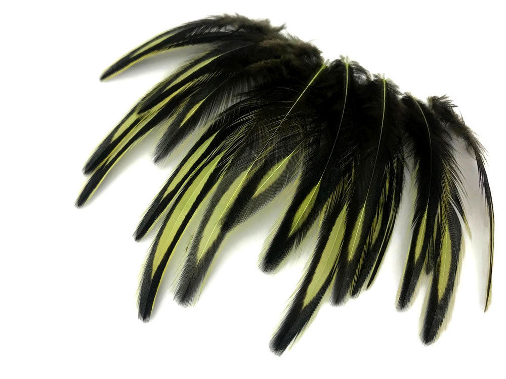 1 Dozen - Olive Green Whiting Farms BLW Laced Hen Cape Loose Feathers