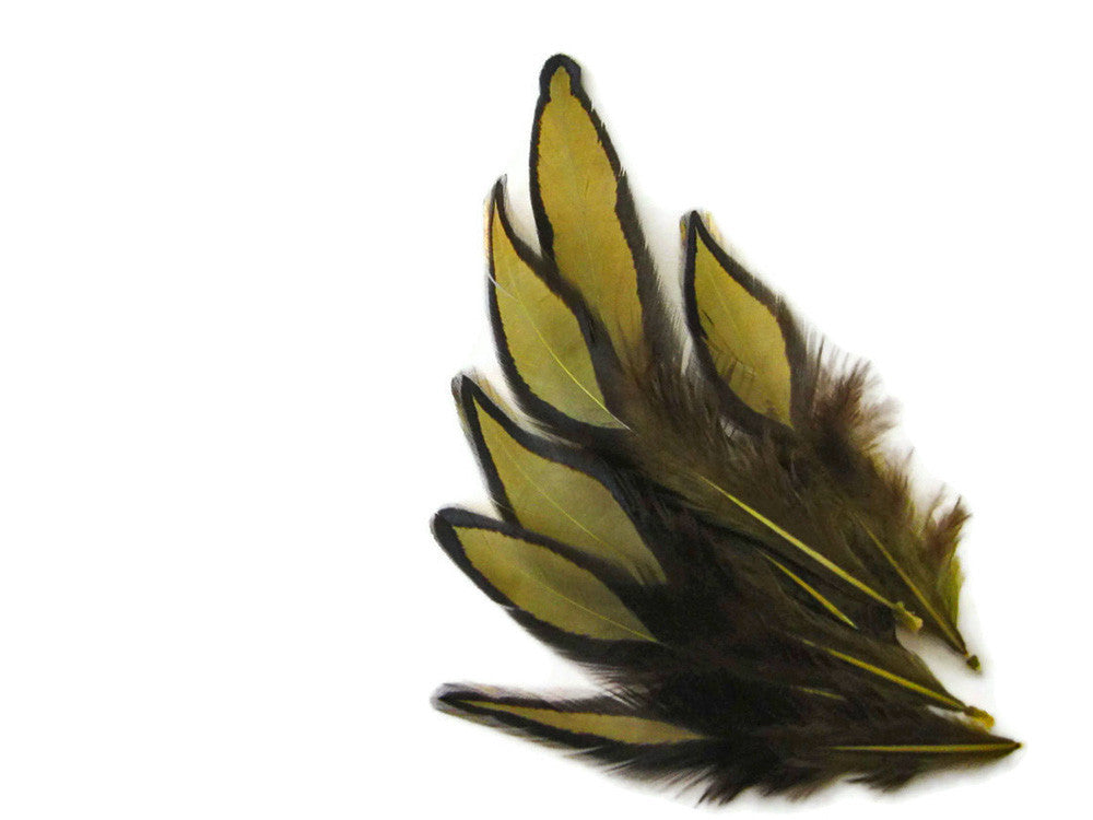 1 Dozen - Olive Green Whiting Farms BLW Laced Hen Cape Loose Feathers