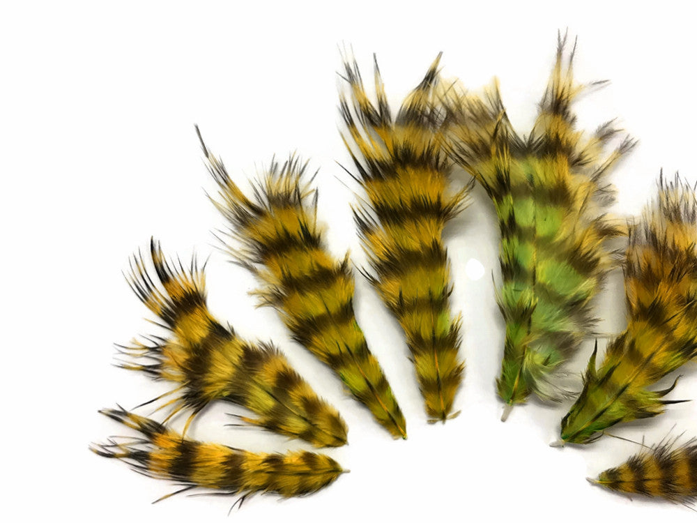 1 Dozen - Olive Green Grizzly Mini Rooster Chickabou Fluff Whiting Hair Feathers