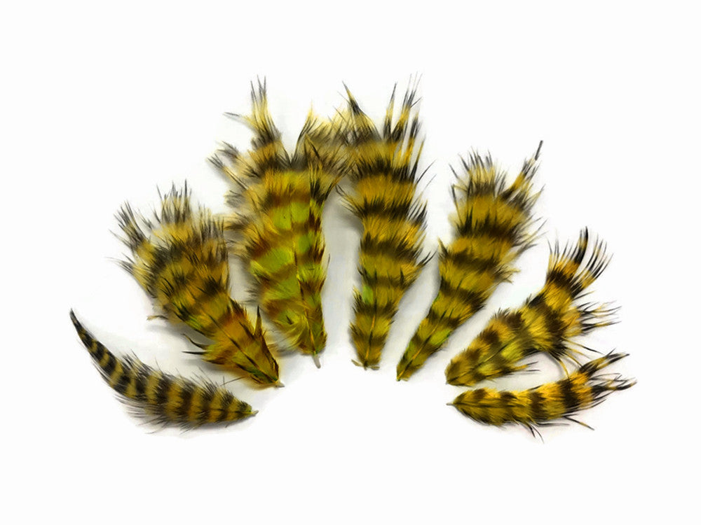 1 Dozen - Olive Green Grizzly Mini Rooster Chickabou Fluff Whiting Hair Feathers