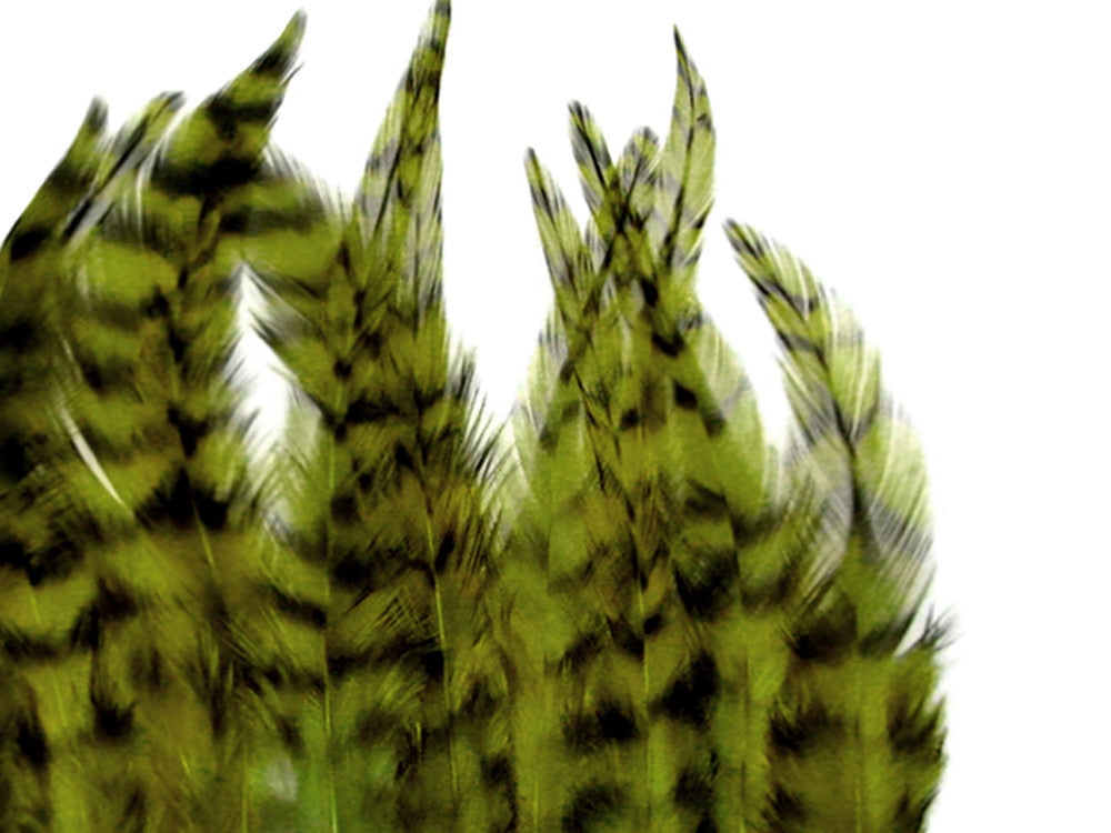 1 Dozen - Short Olive Green Whiting Farm Rooster Saddle Hair Extension Feathers