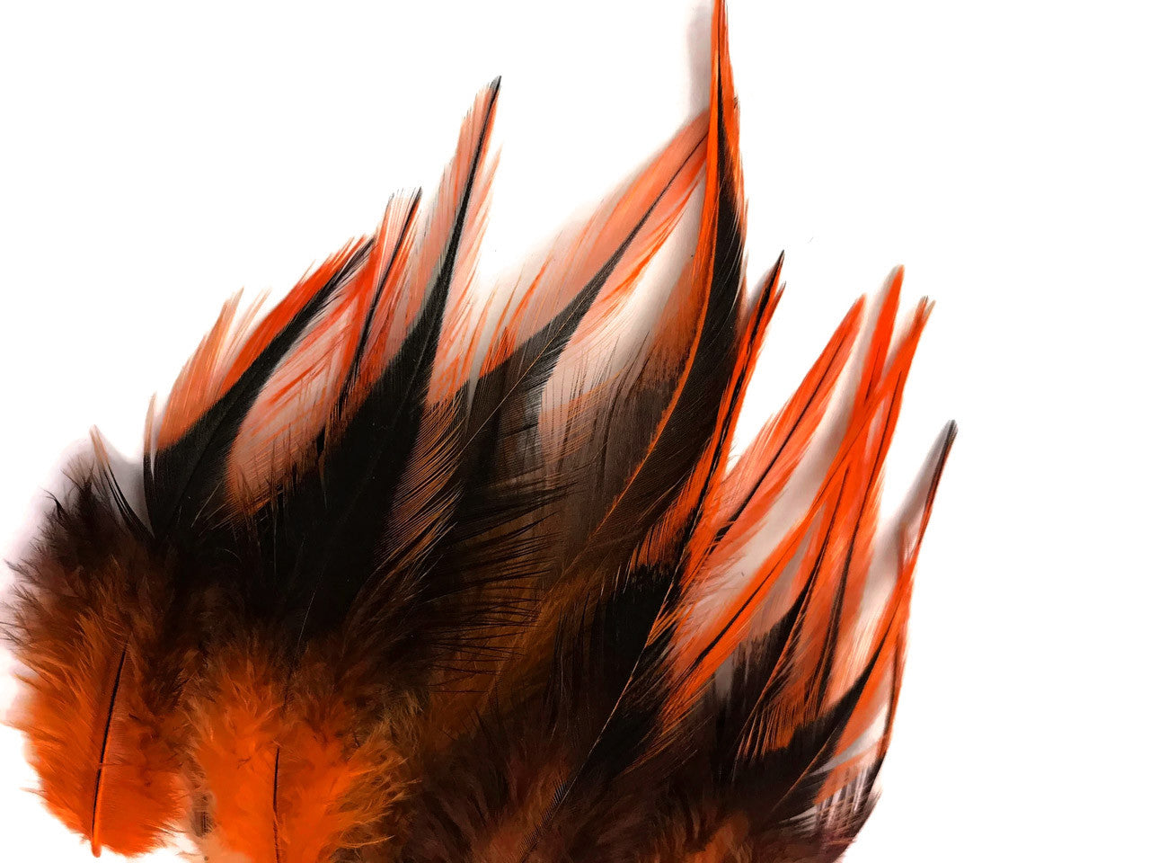 1 Dozen - Short Orange Badger Whiting Farm Rooster Hair Extension Feathers