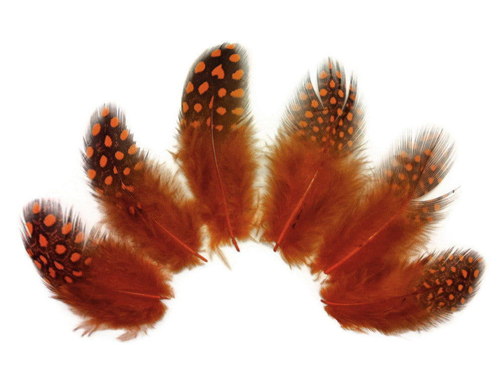 1/4 Lb - Orange Guinea Hen Plumage Polka Dot Feathers Wholesale (Bulk)