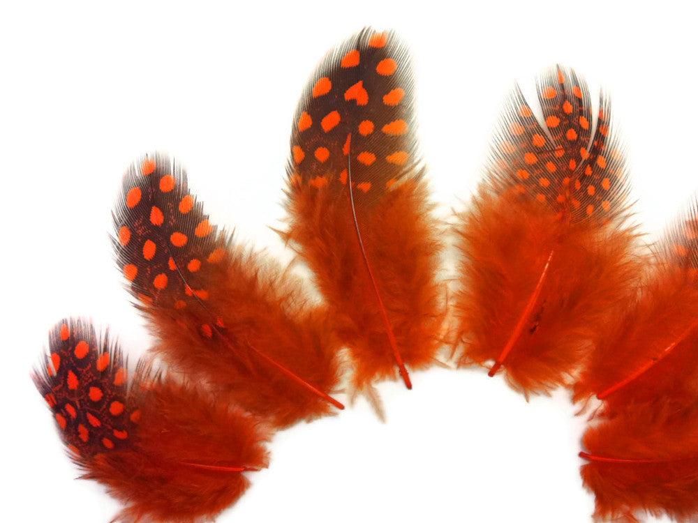 1/4 Lb - Orange Guinea Hen Plumage Polka Dot Feathers Wholesale (Bulk)