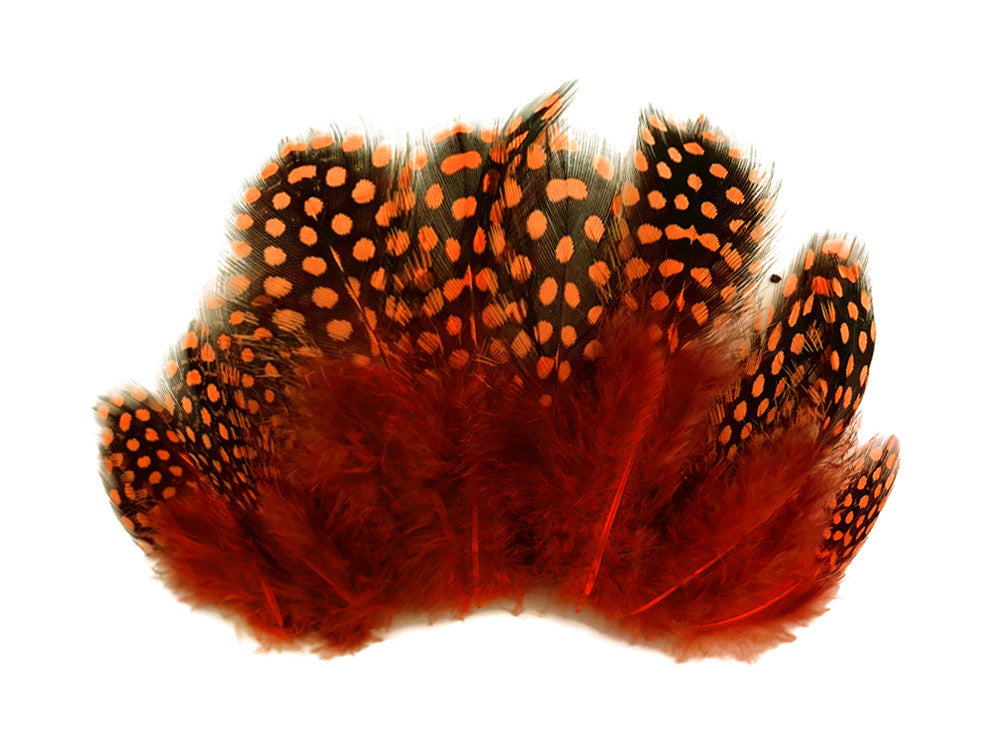 1/4 Lb - Orange Guinea Hen Plumage Polka Dot Feathers Wholesale (Bulk)