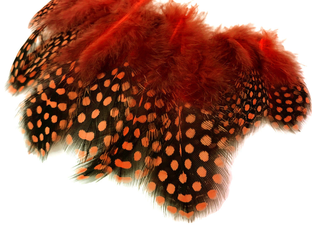 1/4 Lb - Orange Guinea Hen Plumage Polka Dot Feathers Wholesale (Bulk)