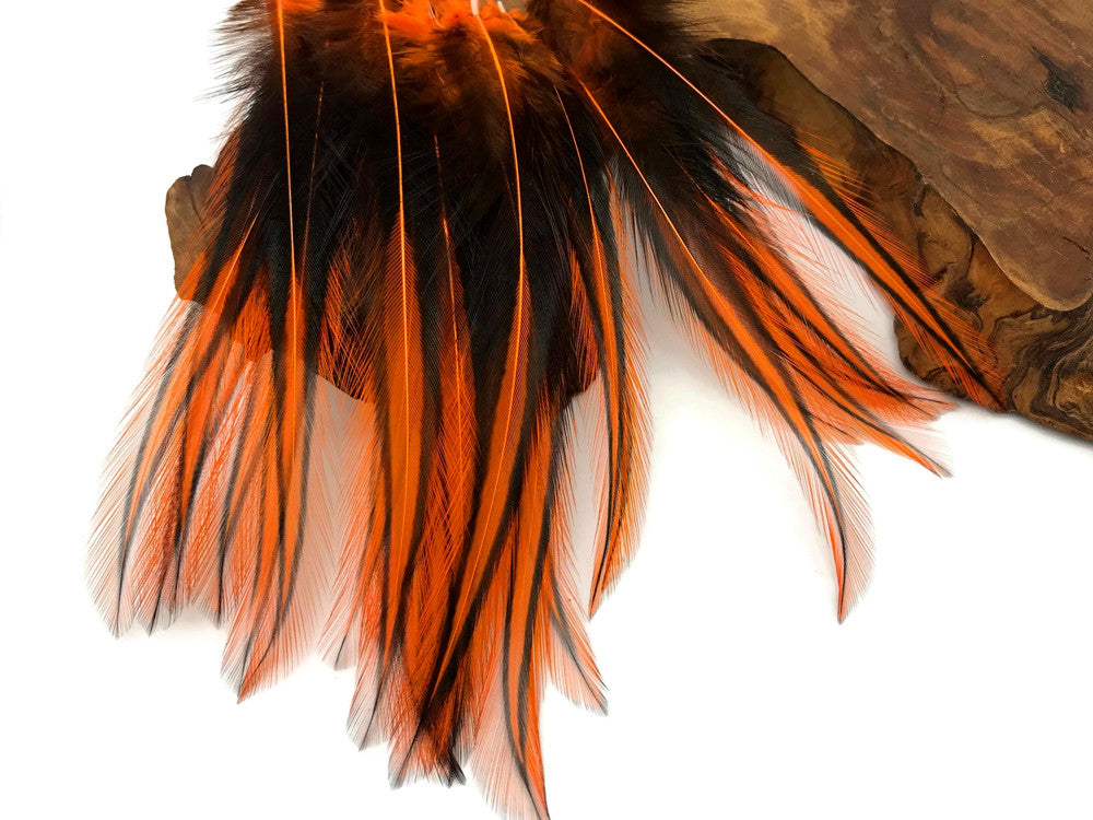 10 Pieces - Orange Dyed BLW Laced Long Rooster Cape Whiting Farms Feathers