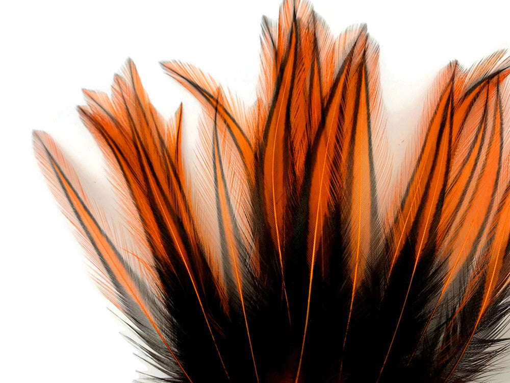 10 Pieces - Orange Dyed BLW Laced Long Rooster Cape Whiting Farms Feathers