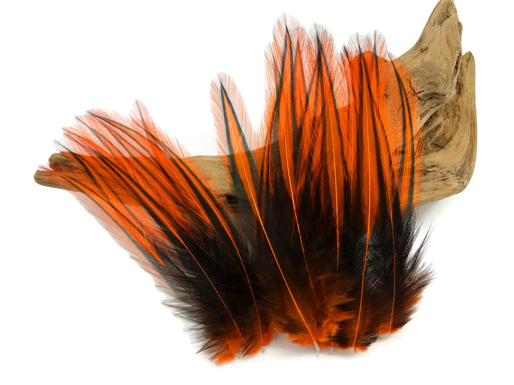 10 Pieces - Orange Dyed BLW Laced Long Rooster Cape Whiting Farms Feathers