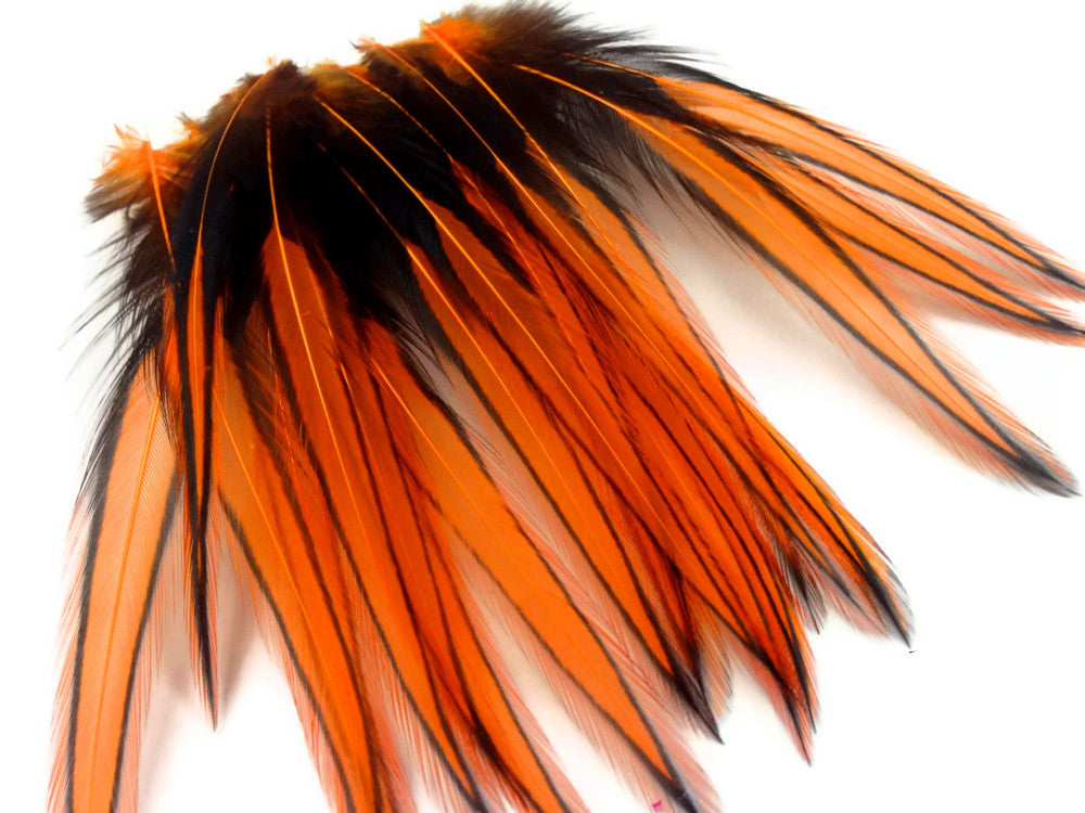 10 Pieces - Orange Dyed BLW Laced Long Rooster Cape Whiting Farms Feathers