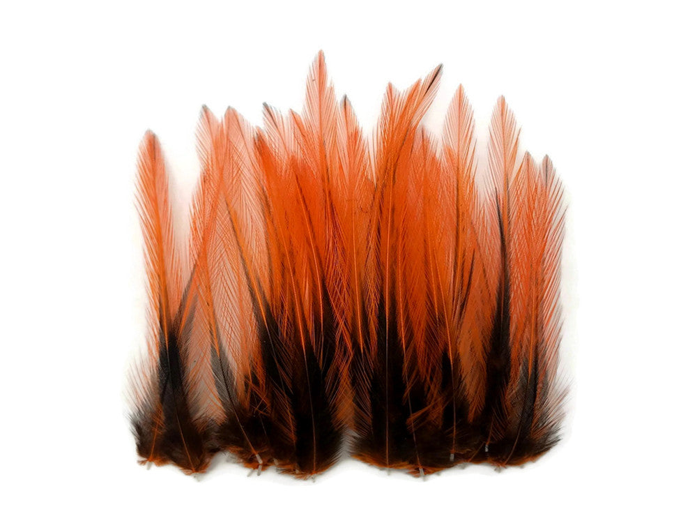 10 Pieces - Orange Dyed BLW Laced Short Rooster Cape Whiting Farms Feathers