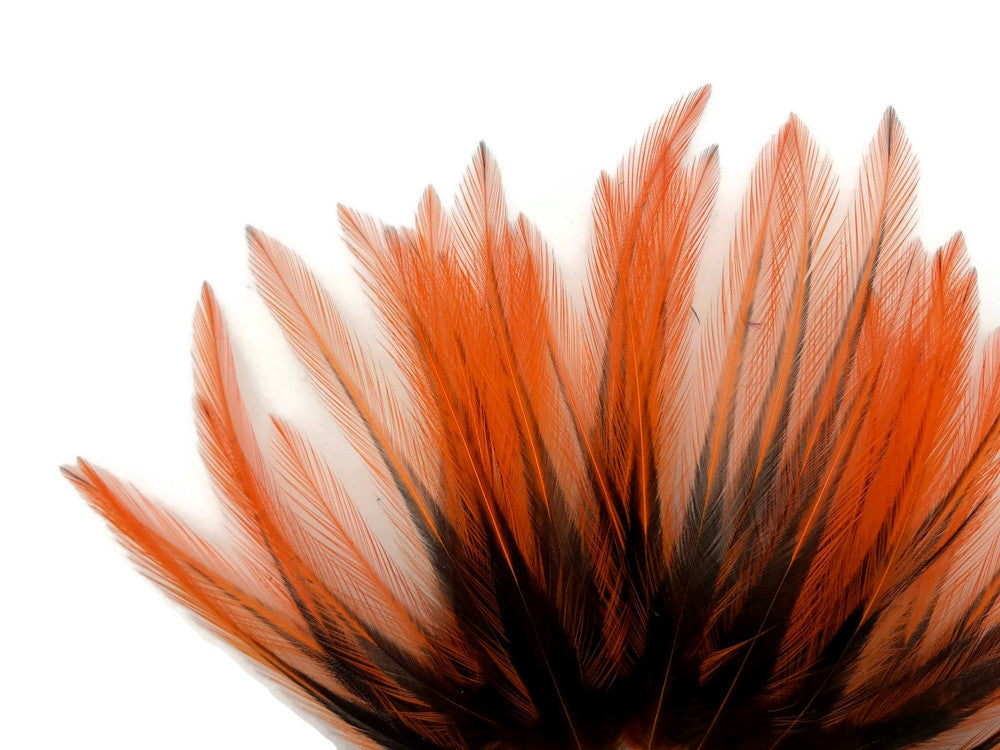 10 Pieces - Orange Dyed BLW Laced Short Rooster Cape Whiting Farms Feathers