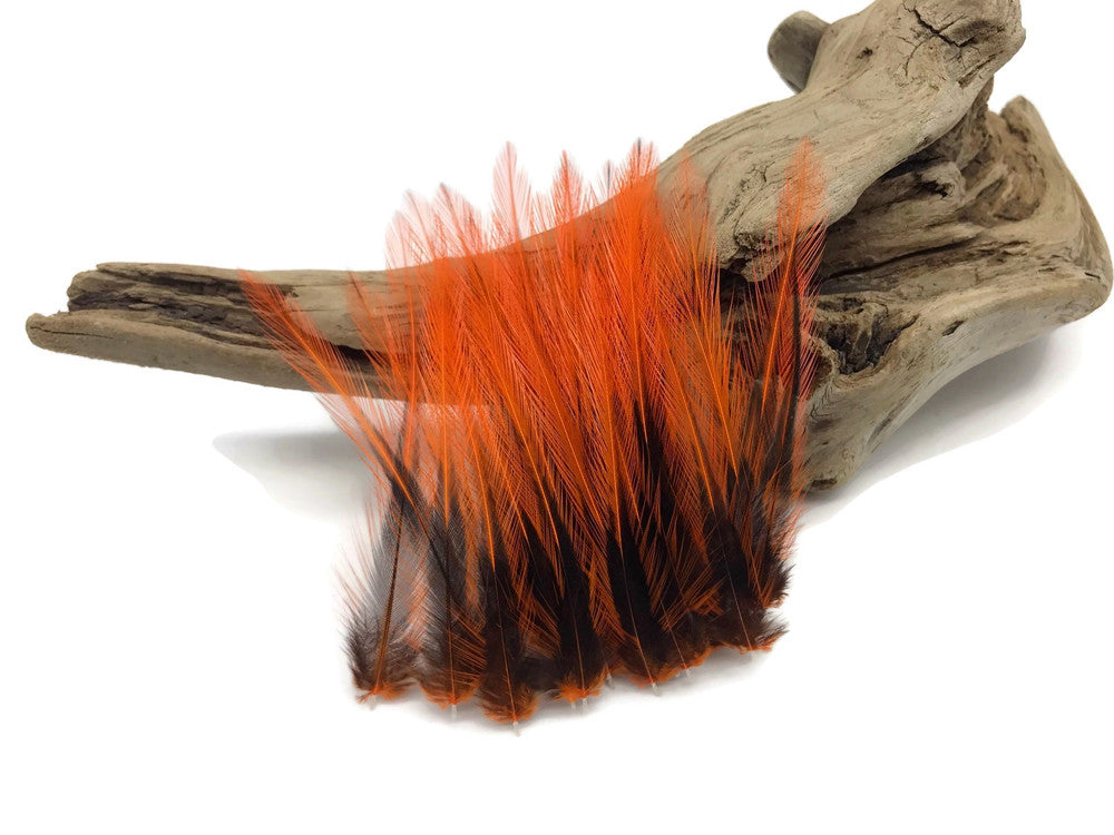 10 Pieces - Orange Dyed BLW Laced Short Rooster Cape Whiting Farms Feathers