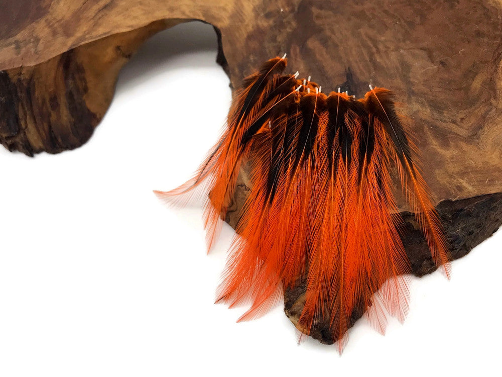 10 Pieces - Orange Dyed BLW Laced Short Rooster Cape Whiting Farms Feathers