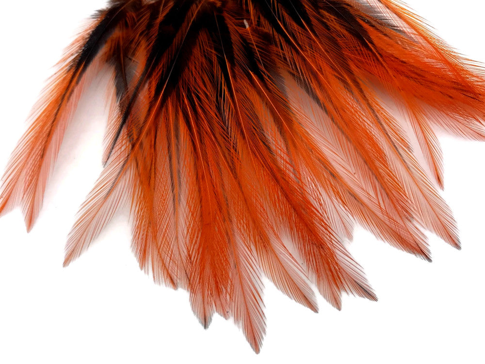 10 Pieces - Orange Dyed BLW Laced Short Rooster Cape Whiting Farms Feathers