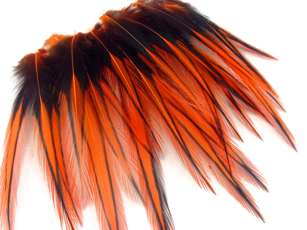 10 Pieces - Orange Dyed BLW Laced Short Rooster Cape Whiting Farms Feathers