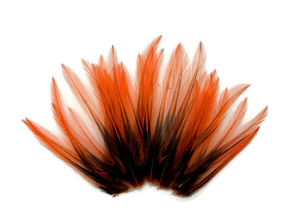 10 Pieces - Orange Dyed BLW Laced Short Rooster Cape Whiting Farms Feathers