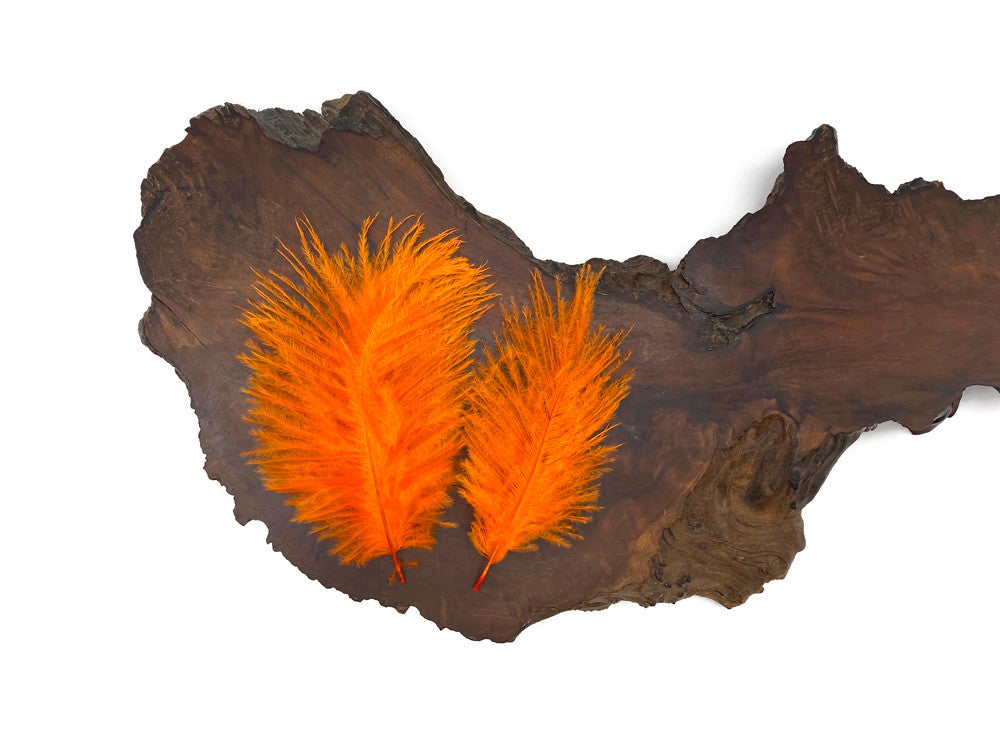 1 Pack - Orange Ostrich Small Confetti Feathers 0.3 Oz