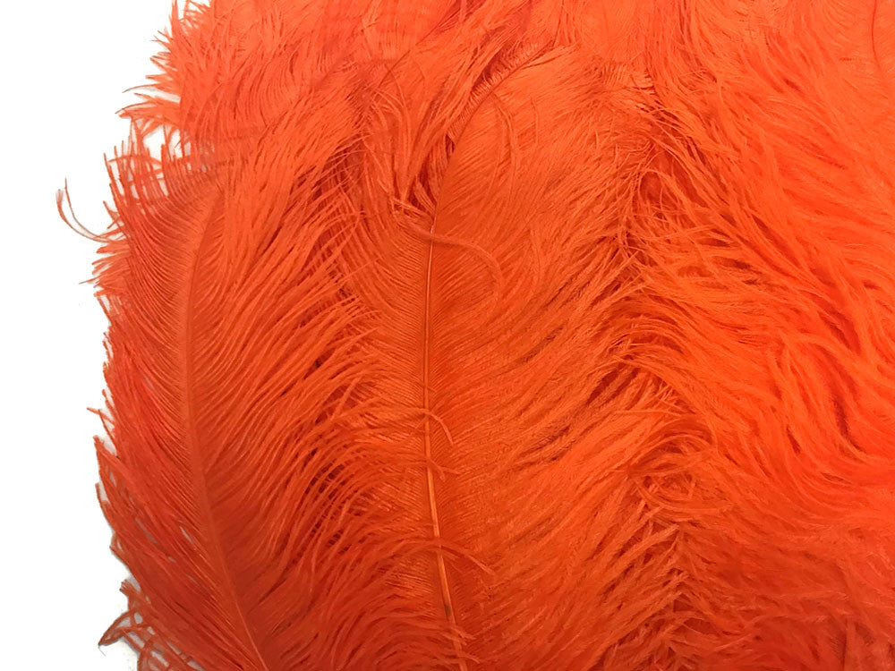 1/2 Lb. - 25-29" Orange Large Ostrich Wing Plume Wholesale Feathers (Bulk)