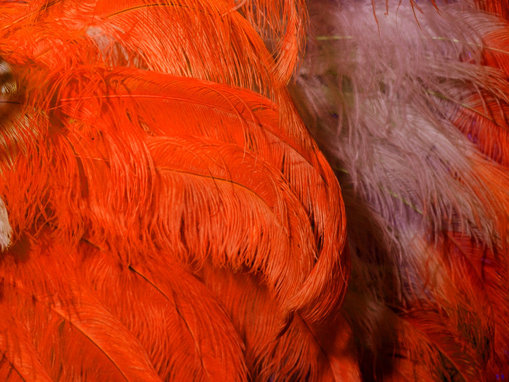 1/2 Lb. - 25-29" Orange Large Ostrich Wing Plume Wholesale Feathers (Bulk)