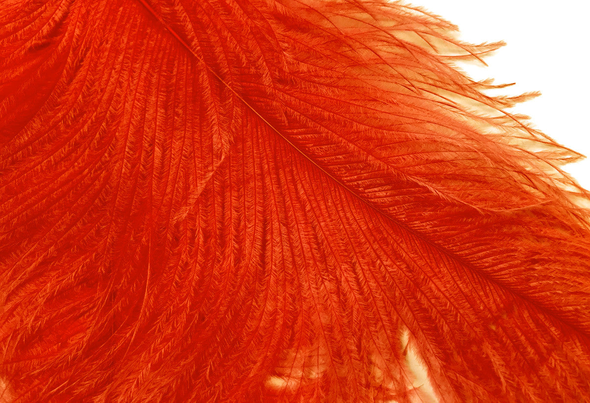 1/2 Lb. - 18-24" Orange Large Ostrich Wing Plume Wholesale Feathers (Bulk)