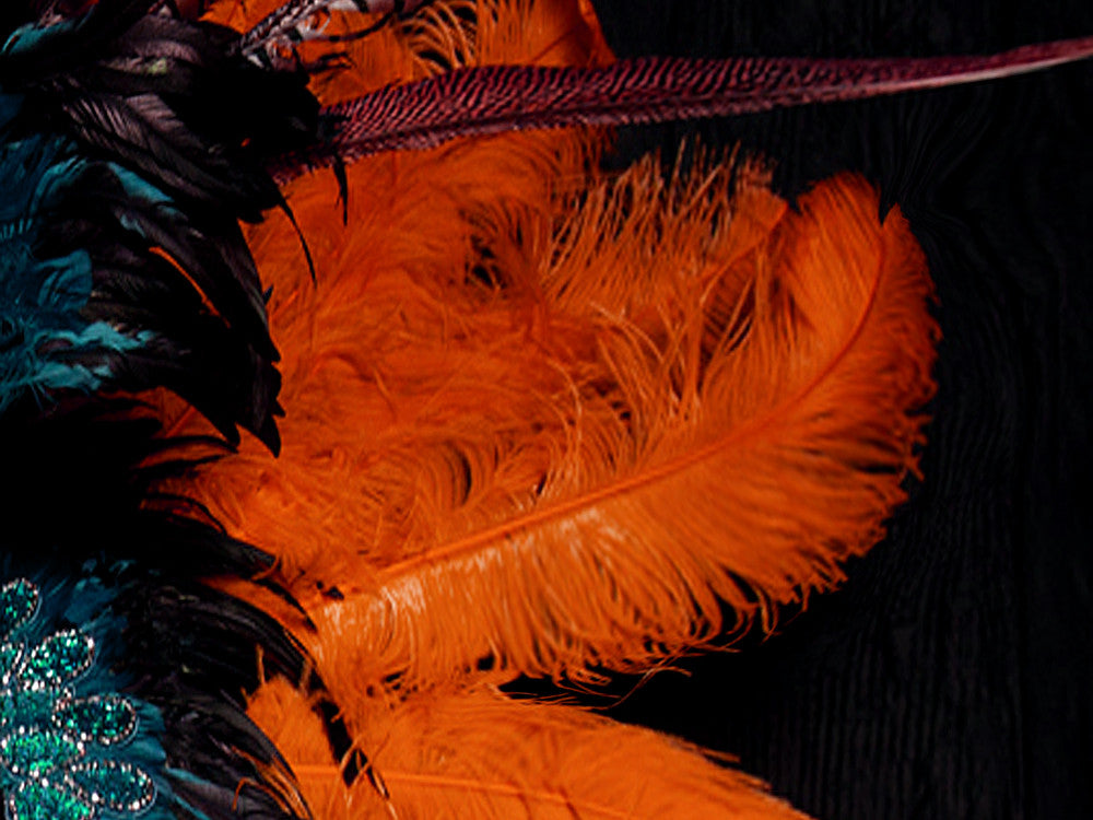 10 Pieces - 18-24" Orange Large Prime Grade Ostrich Wing Plume Centerpiece Feathers