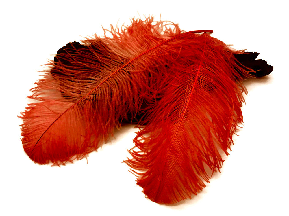 1/2 Lb. - 25-29" Orange Large Ostrich Wing Plume Wholesale Feathers (Bulk)