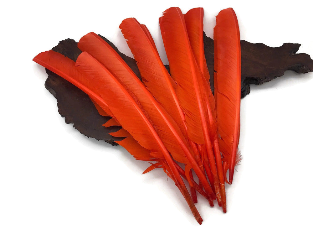 6 Pieces - Orange Turkey Pointers Primary Wing Quill Large Feathers