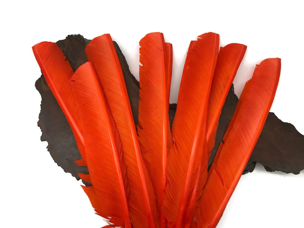 6 Pieces - Orange Turkey Pointers Primary Wing Quill Large Feathers