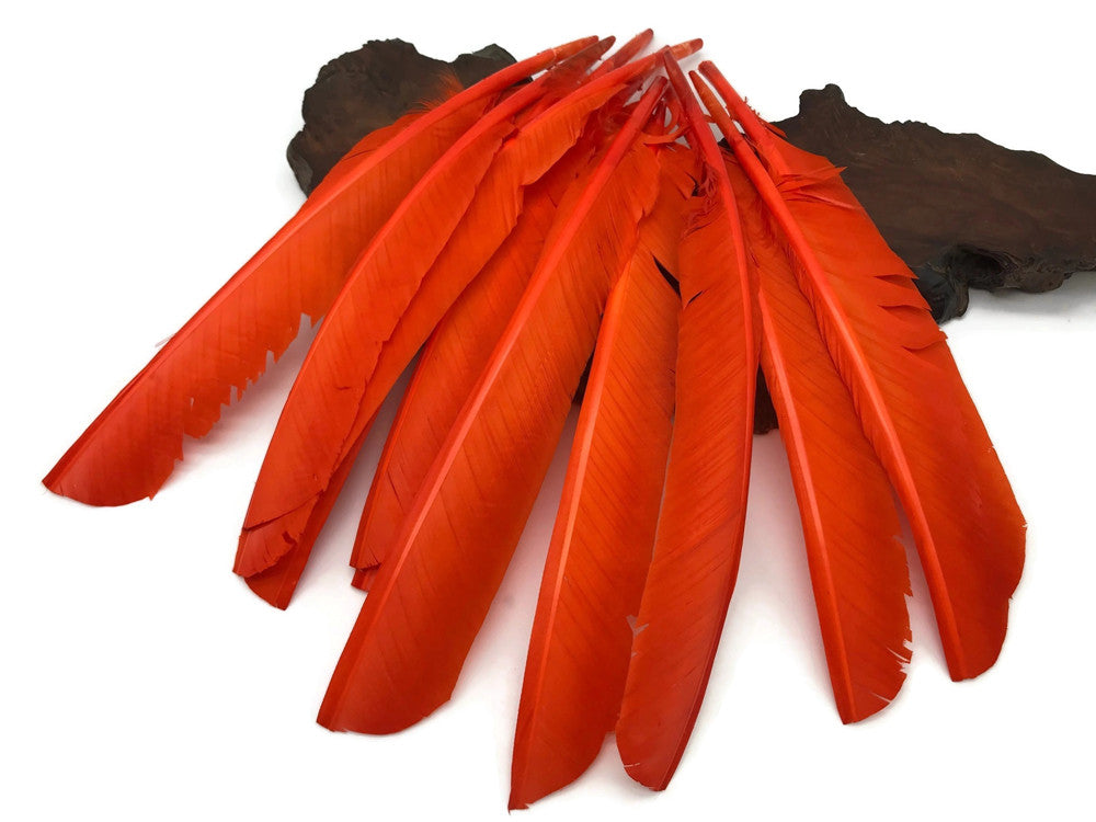 6 Pieces - Orange Turkey Pointers Primary Wing Quill Large Feathers