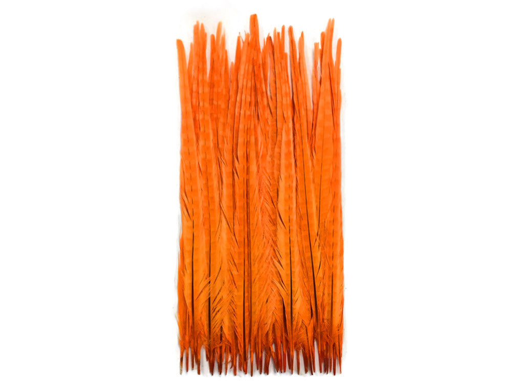 10 Pieces - 18-22" Orange Bleached and Dyed Long Ringneck Pheasant Tail Feathers