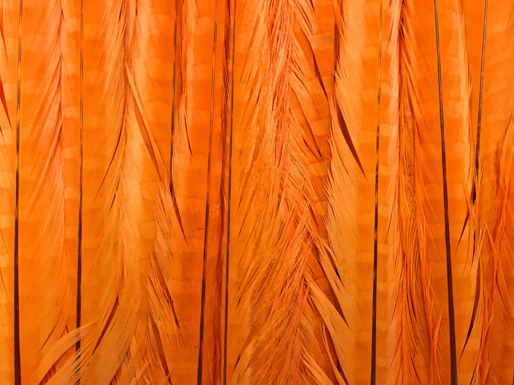 10 Pieces - 18-22" Orange Bleached and Dyed Long Ringneck Pheasant Tail Feathers