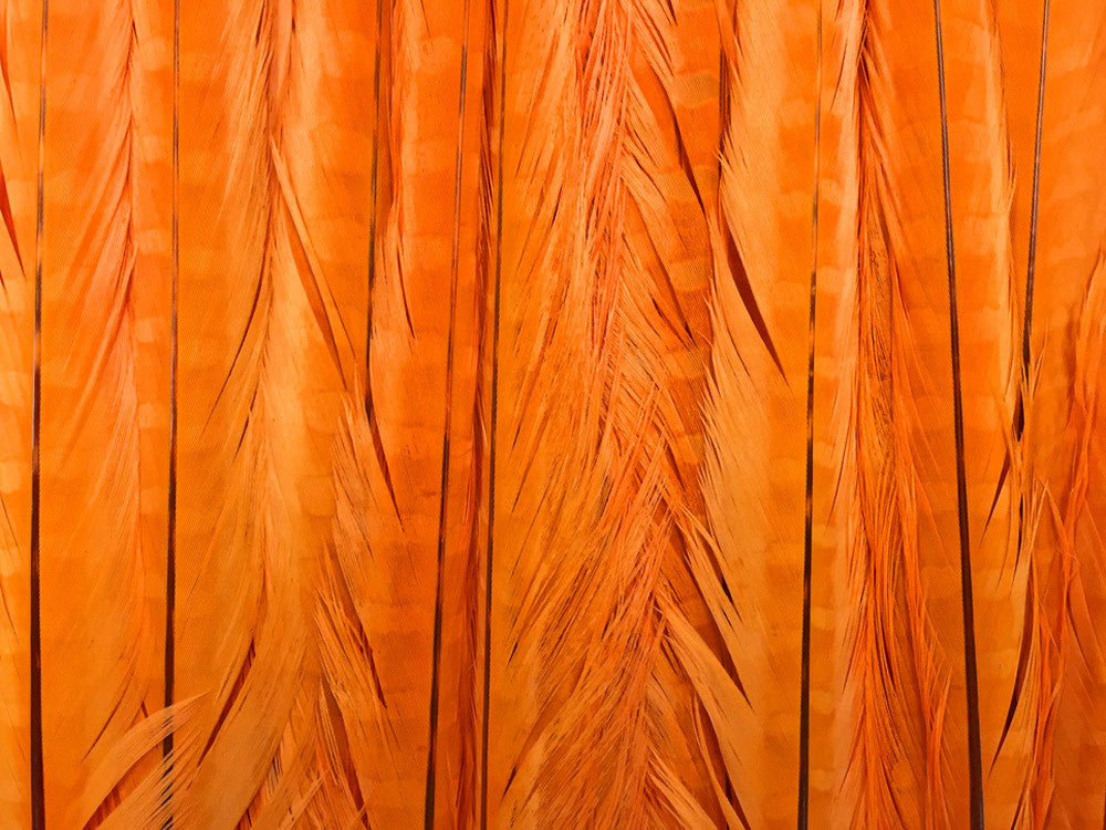 50 Pieces - 18-22" Orange Bleached & Dyed Long Ringneck Pheasant Tail Wholesale Feathers (Bulk)