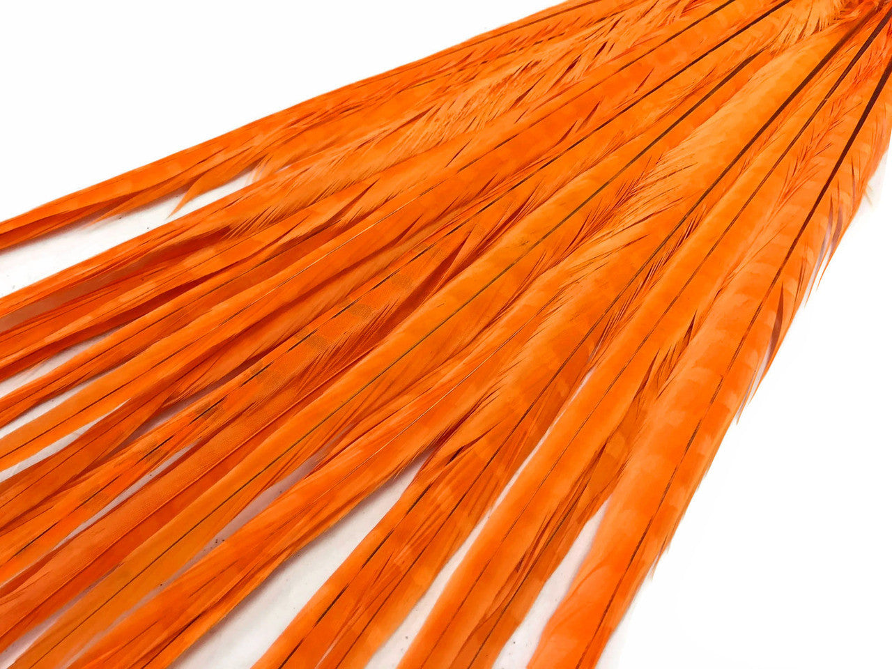 50 Pieces - 18-22" Orange Bleached & Dyed Long Ringneck Pheasant Tail Wholesale Feathers (Bulk)