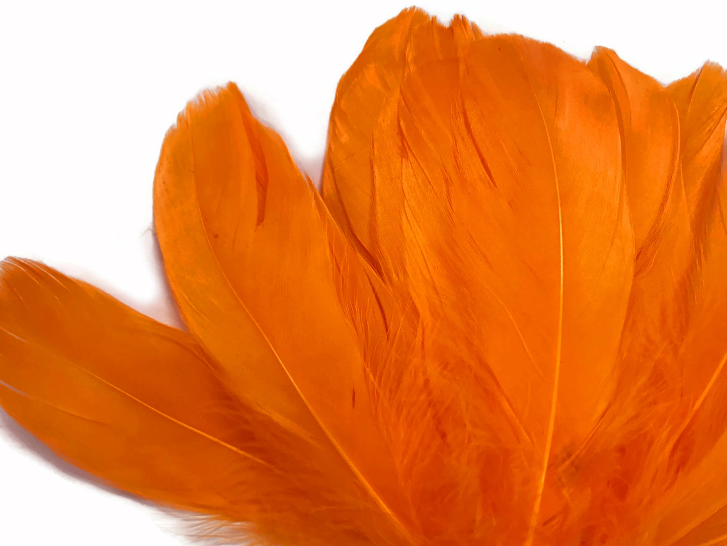 1/4 lbs. - Orange Goose Nagoire Wholesale Feathers (Bulk)