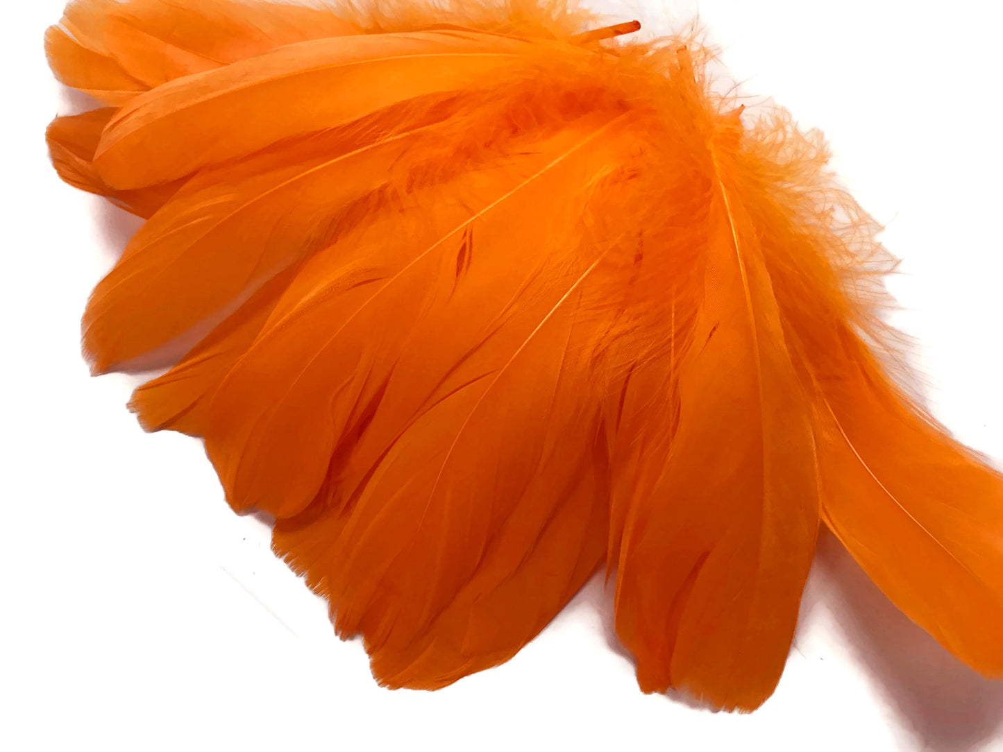 1 Pack - Orange Goose Nagoire Loose Feather - 0.25 Oz.