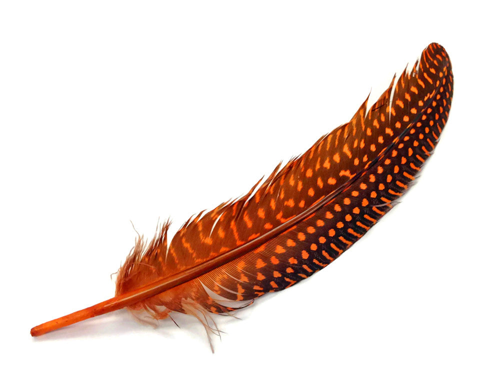 10 Pieces - Dyed Orange Polka Dot Guinea Fowl Wing Quill Feathers