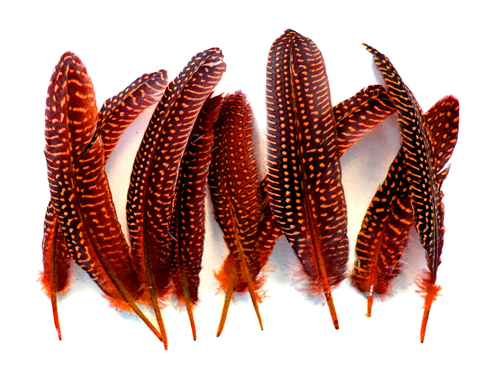 10 Pieces - Dyed Orange Polka Dot Guinea Fowl Wing Quill Feathers