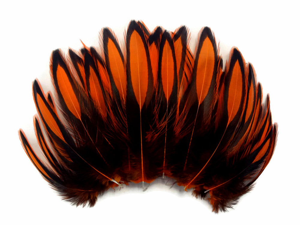 1 Dozen - Orange Whiting Farms BLW Laced Hen Cape Loose Feathers