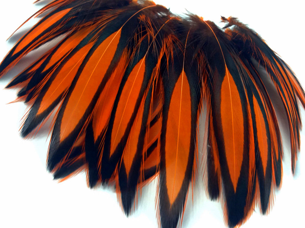 1 Dozen - Orange Whiting Farms BLW Laced Hen Cape Loose Feathers