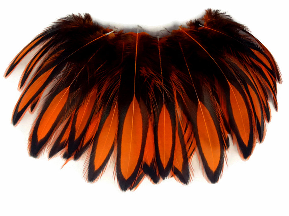 1 Dozen - Orange Whiting Farms BLW Laced Hen Cape Loose Feathers