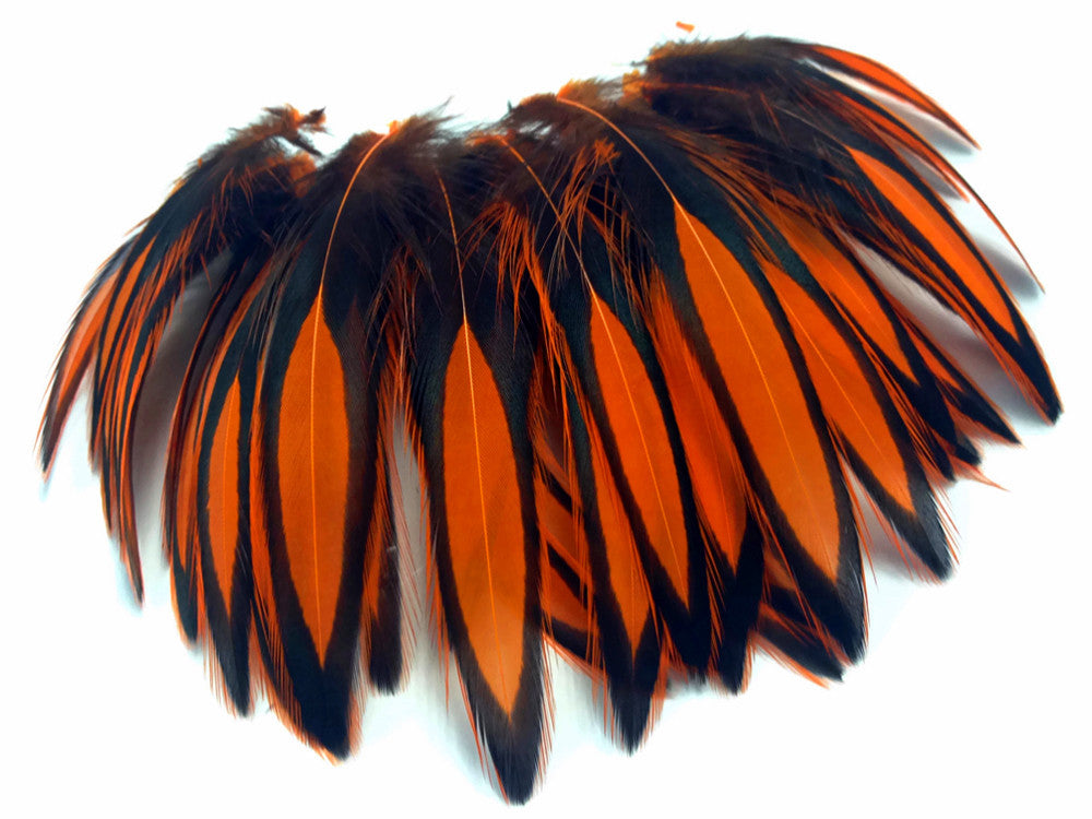 1 Dozen - Orange Whiting Farms BLW Laced Hen Cape Loose Feathers