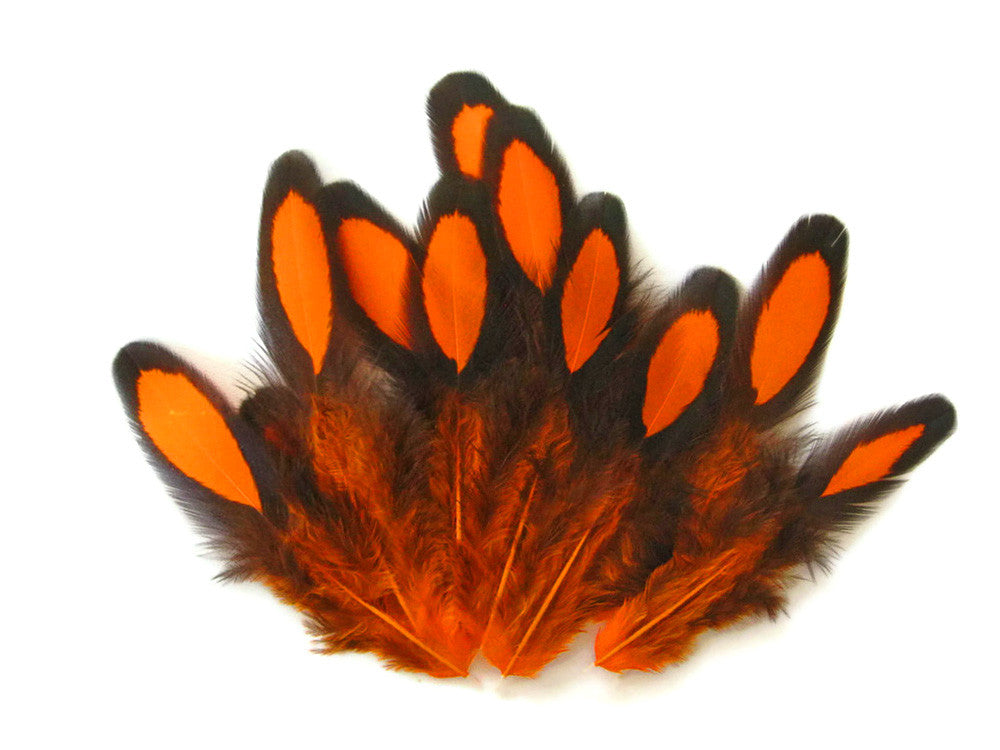 1 Dozen - Orange Whiting Farms Laced Hen Saddle Feathers