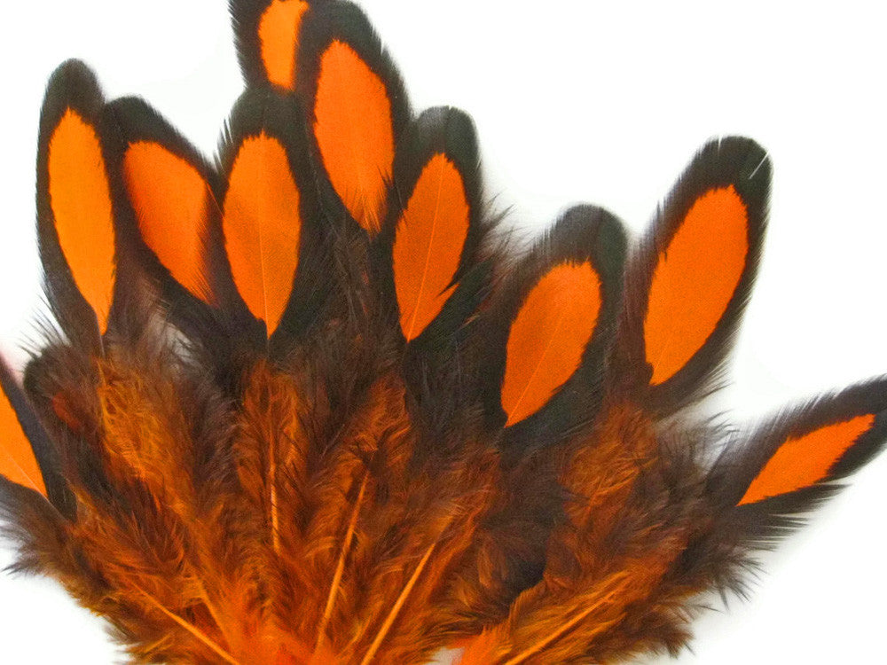 1 Dozen - Orange Whiting Farms Laced Hen Saddle Feathers