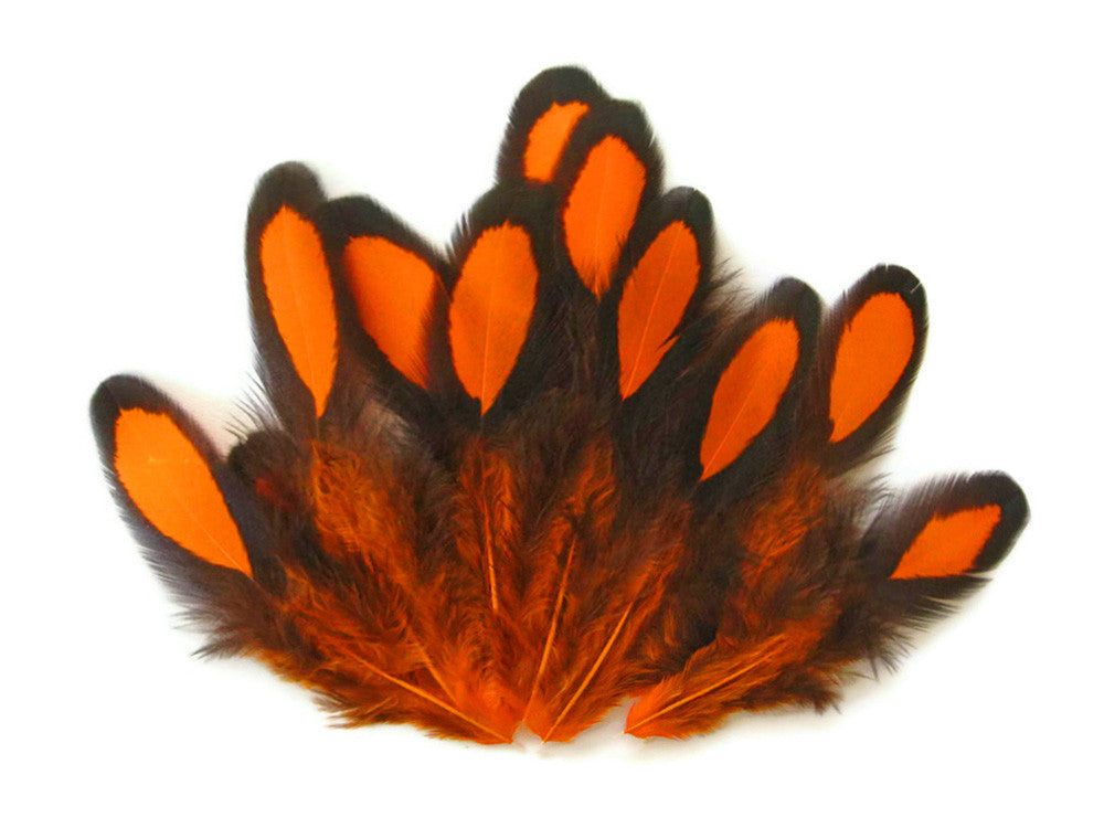 1 Dozen - Orange Whiting Farms Laced Hen Saddle Feathers